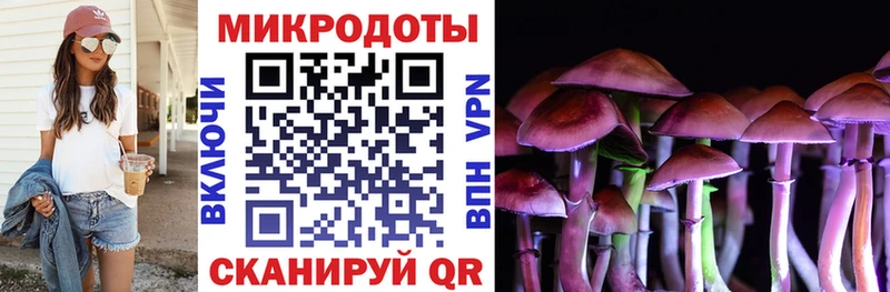 Галлюциногенные грибы Psilocybine cubensis  дарнет шоп  Белозерск 